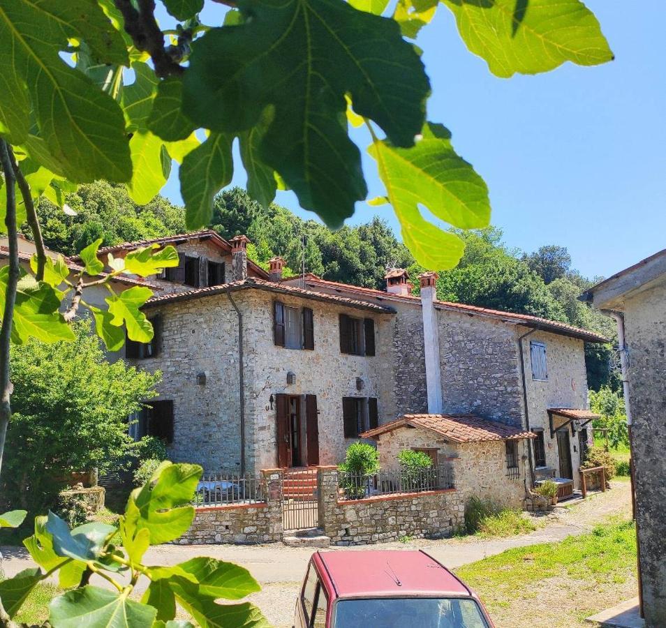 Cara House Tuscany - Zona Lucca Chiatri Esterno foto